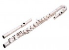 Флейта BRAHNER F-310SC