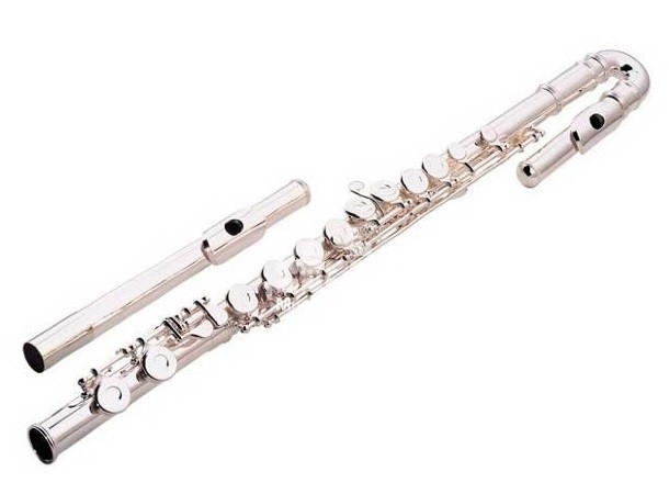 Флейта вода. Brahner f-310sc флейта c. Brahner f-300s - флейта. Brahner FC-118/Rd флейта. Brahner флейта поперечная.